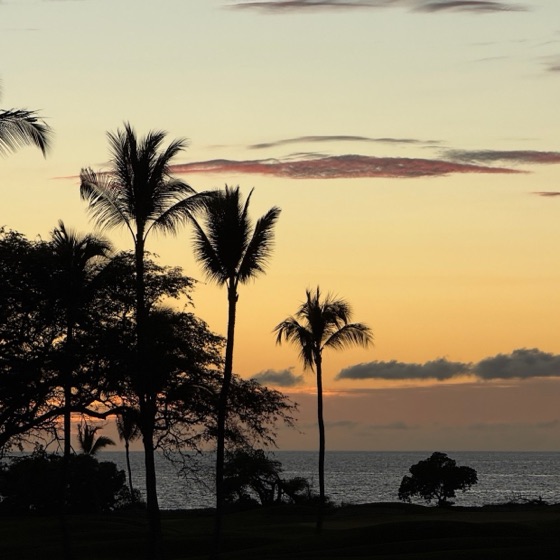 Palm trees silhouetted against an orange sunset over the ocean in Hawaiʻi